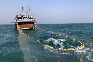 لایروبی و توسعه بنادر صیادی خوزستان با جدیت در حال پیگیری است