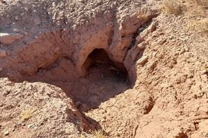 دستگیری حفار غیرمجاز آثار تاریخی در شهرستان کوثر 