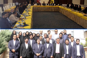 تنوع در فروش با اولویت طرح‌ های نوین