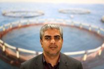 پرورش ماهیان دریایی در آب‌های کم عمق و ساحلی گامی برای جهش تولید