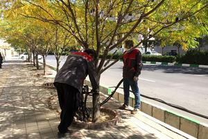 هدف گذاری اقدامات گسترده در مناطق کلانشهر مشهد