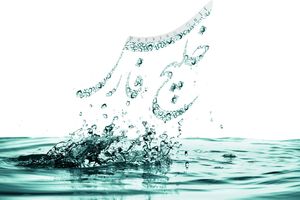 برگزاری جشنواره بین المللی خلیج فارس در بندرعباس