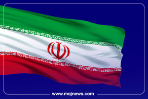 اینفوگرافیک/مجازات توهین به پرچم در کشورهای مختلف