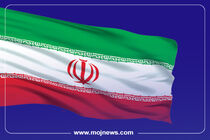 اینفوگرافیک/مجازات توهین به پرچم در کشورهای مختلف
