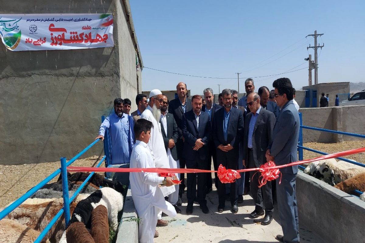 جهاد گشاورزی