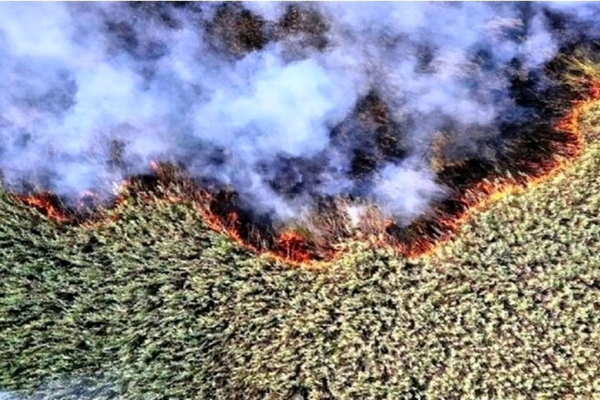 تالاب هورالعظیم 