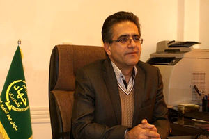 سرمایه گذاران مجتمع‎های گلخانه‌ایی، بدون انتظار تسهیلات دریافت کنند
