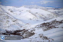 افزایش 38 درصدی بارش در فریدن