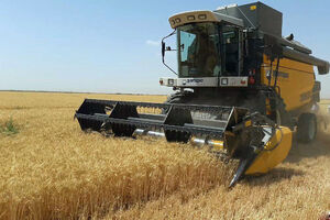 95 قرنطینه گیاهی در کشور فعال هستند