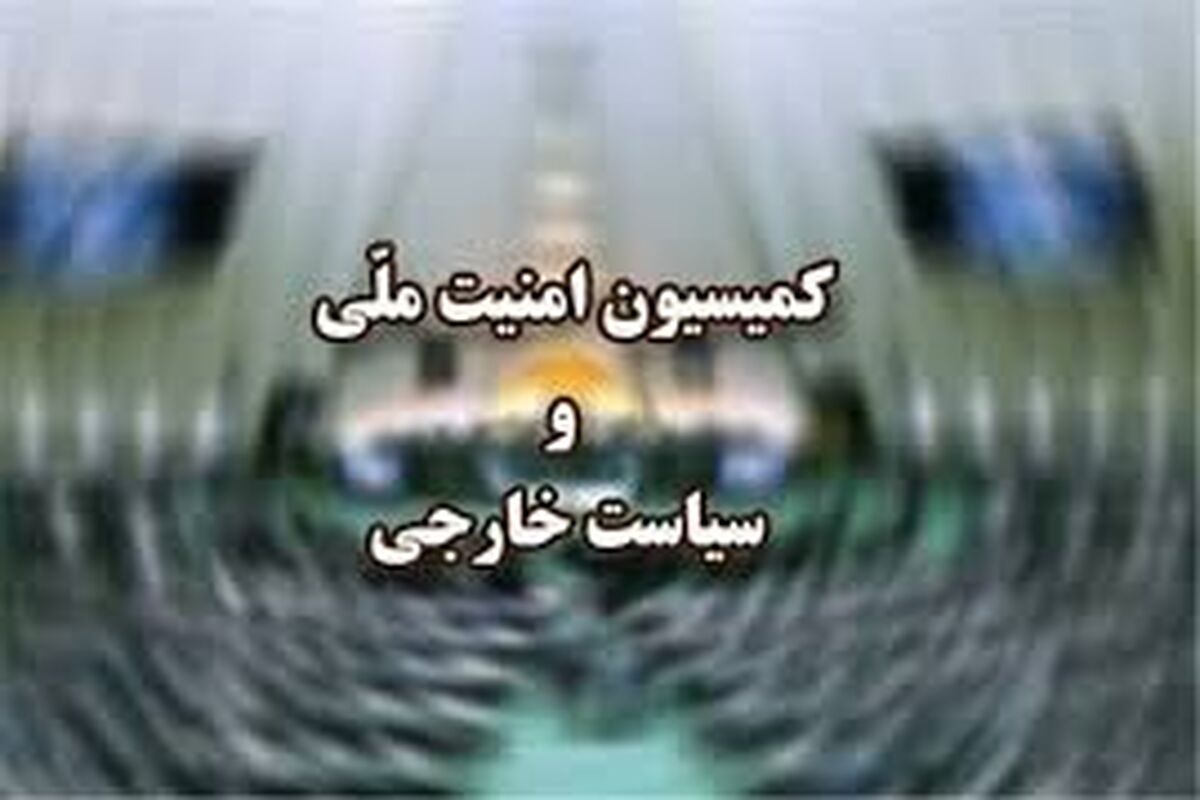 کمیسیون امنیت ملی و سیاست خارجی