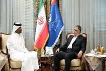 محسن پاک‌نژاد با سفیر قطر در ایران دیدار کرد