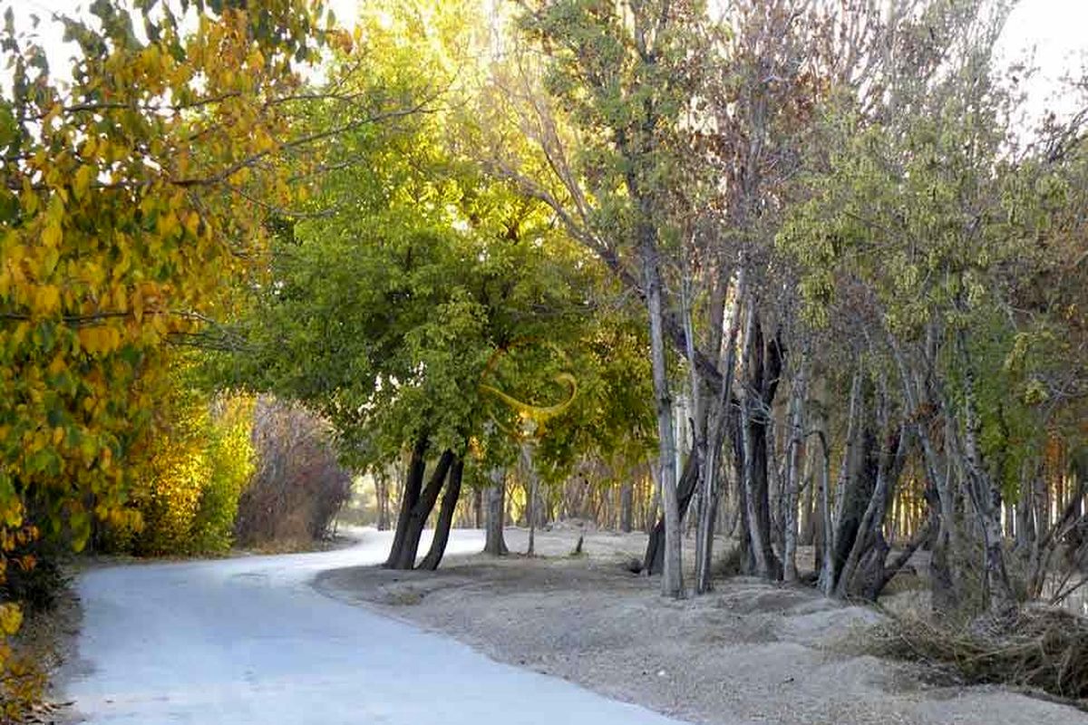 ناژوان اصفهان