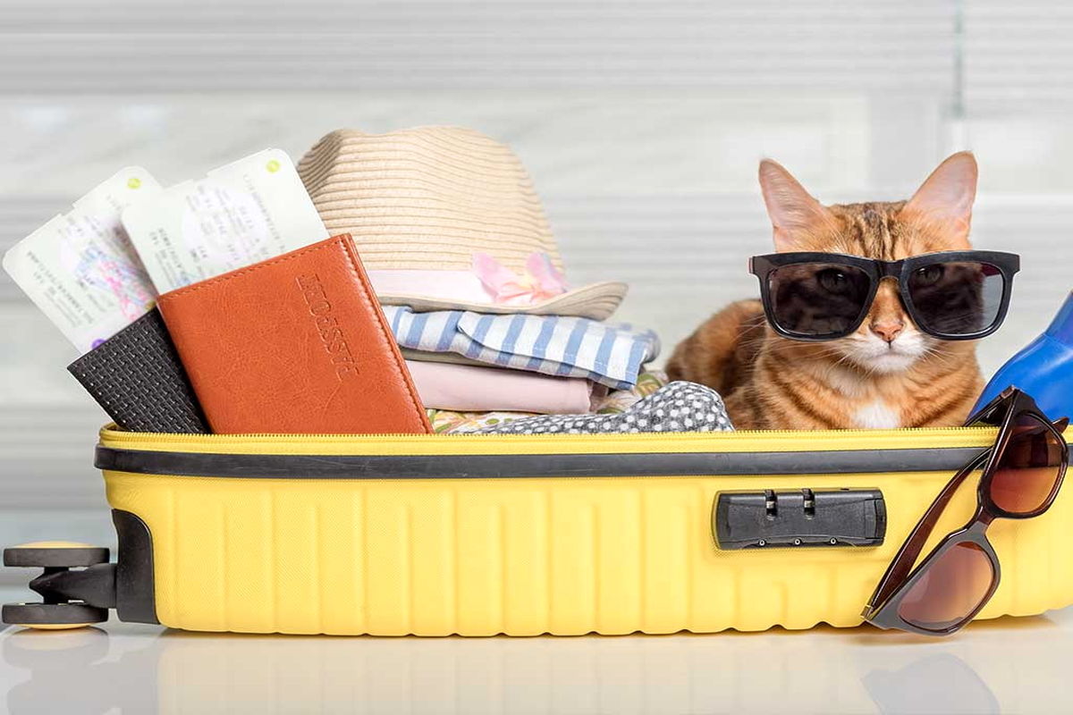 بدون این وسایل چمدان نبند!