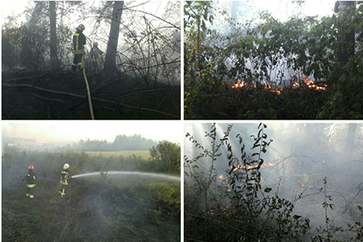 اتش سوزی علفزار1