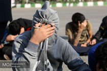 دستگیری سارقان در ملایر