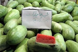 ۶۰۰ پرونده تخلفاتی به ارزش  ۱۸۳ میلیون تومان تشکیل شد