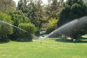 بیش از ۲۵۰ هزار متر مربع فضای سبز در پردیسان توسعه پیدا کرد