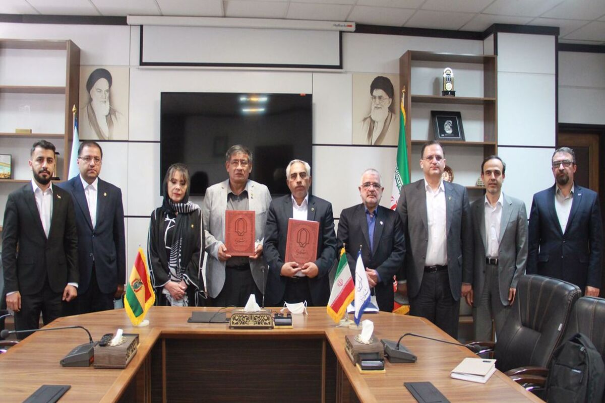 دانشگاه یزد