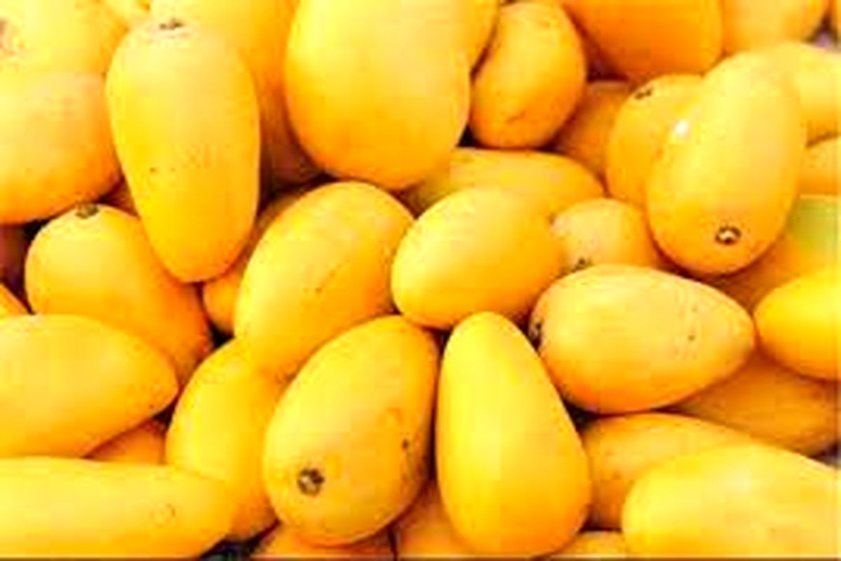 میوه و تره بار