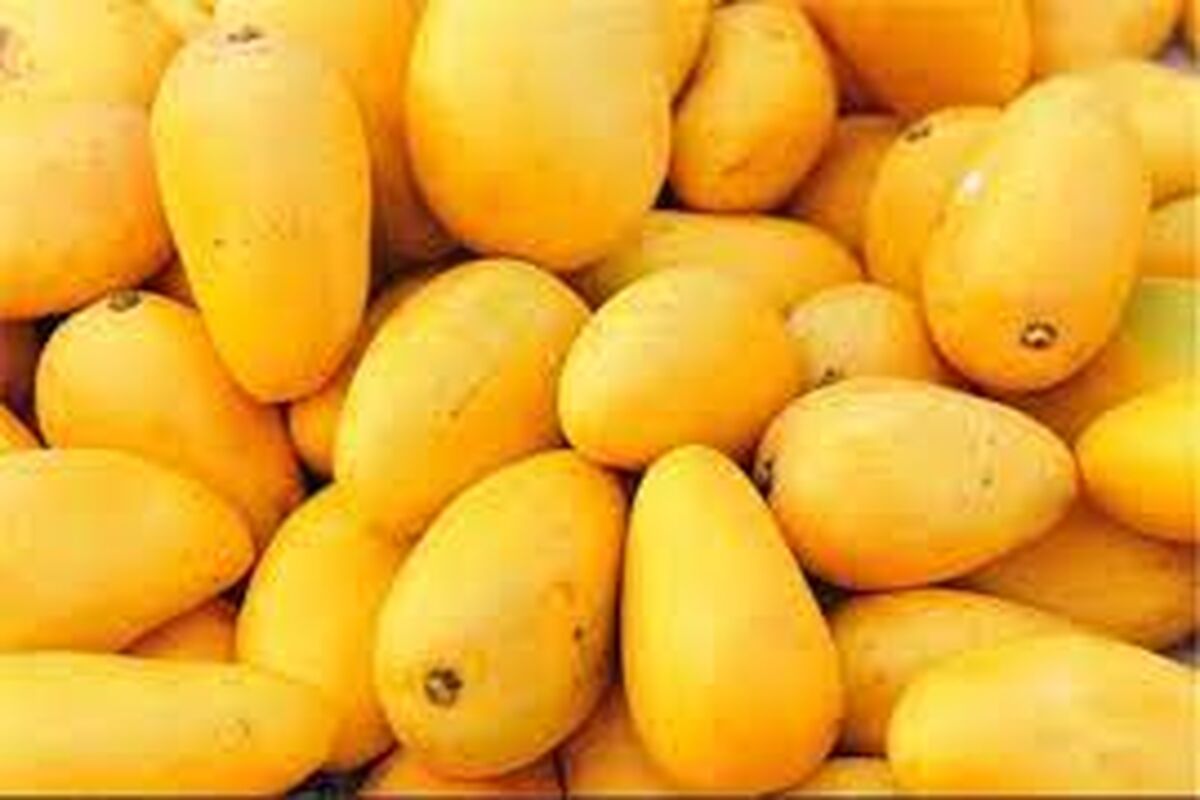 میوه و تره بار
