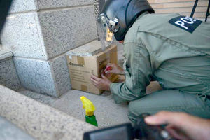 جزییات پیدا شدن بسته مشکوک در میدان تجریش/مورد مشکوکی مشاهده نشد