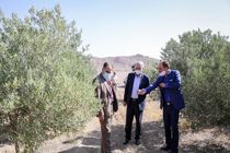 میراث پارک طبیعی شرق باید برای نسل های آینده حفظ شود