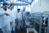 امنیت غذایی ابزار جنگی دشمن و اولویت اصلی کشور است / تأکید بر کاهش وابستگی و خودکفایی