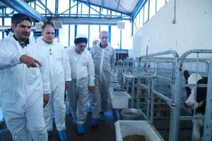 امنیت غذایی ابزار جنگی دشمن و اولویت اصلی کشور است / تأکید بر کاهش وابستگی و خودکفایی