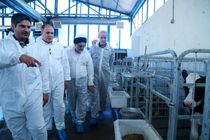 امنیت غذایی ابزار جنگی دشمن و اولویت اصلی کشور است / تأکید بر کاهش وابستگی و خودکفایی