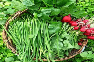ایجاد 10 باغچه خانگی سلامت محور در سیمرغ