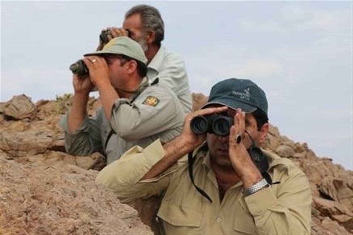 محیط بان