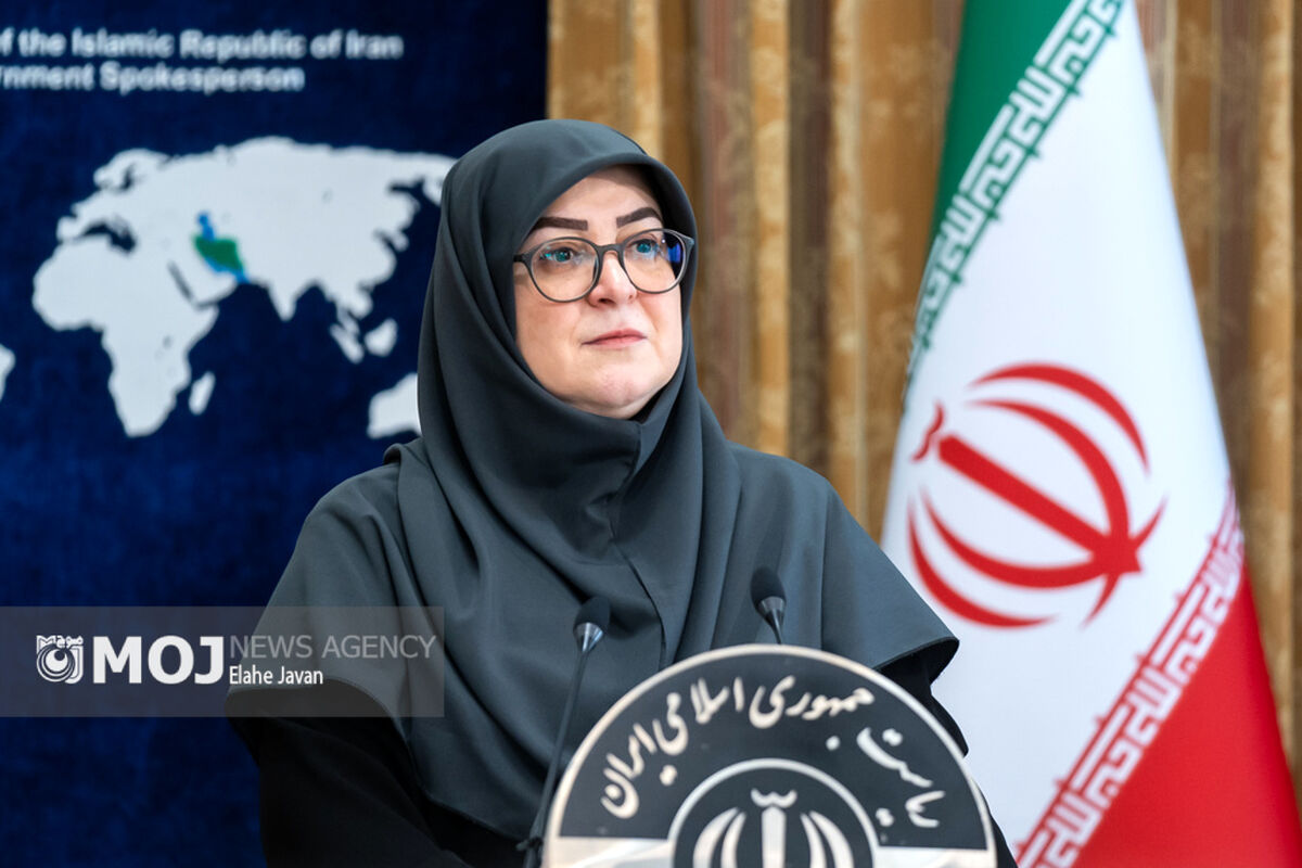 فاطمه مهاجرانی + سخنگوی دولت