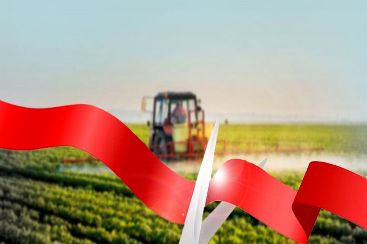 کشاورزی ساوه