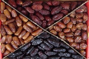 مدیران باید جوانان را به سمت درآمدزایی از فضاهای اینترنتی سوق دهند