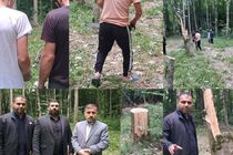 اعتراف قاچاقچیان به قطع ۶۴ اصله درخت در بهشهر