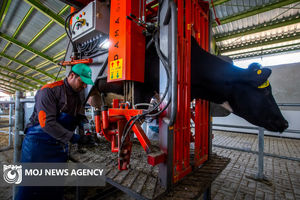 کار برای تامین امنیت کشور؛  در حوزه غذا