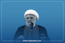 اینفوگرافیک/شیخ نعیم قاسم کیست؟ 