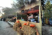 آبان، عطر و طعم پاییز به مشهد می‌رسد