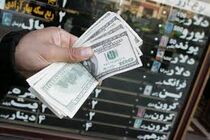 ارز تک نرخی، در حد شعار