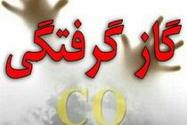 مسمومیت 7 نفر با گاز منوکسید کربن در استان قم