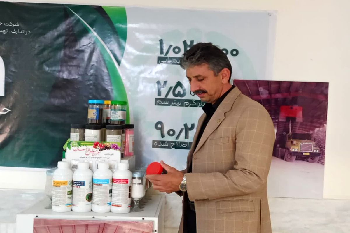 بیگی
