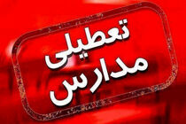 مدارس ابتدایی بندرعباس و شرق هرمزگان به‌دلیل گردوغبار فردا سه‌شنبه مجازی شد