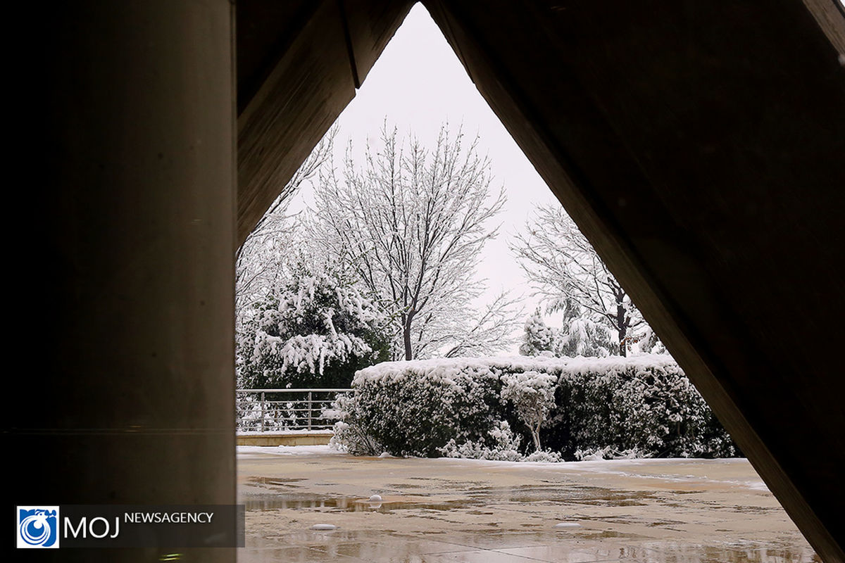 نعمت برف و باران