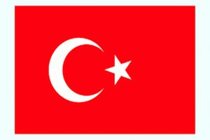وزارت امور خارجه ترکیه به ملت ایران در پی سقوط هواپیما پیام تسلیت داد