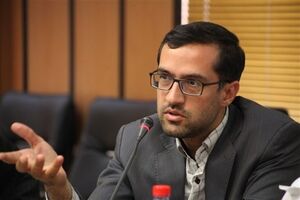 برخی از آسیب ها و جرایم، متاثر از نیروی کار مهاجر است