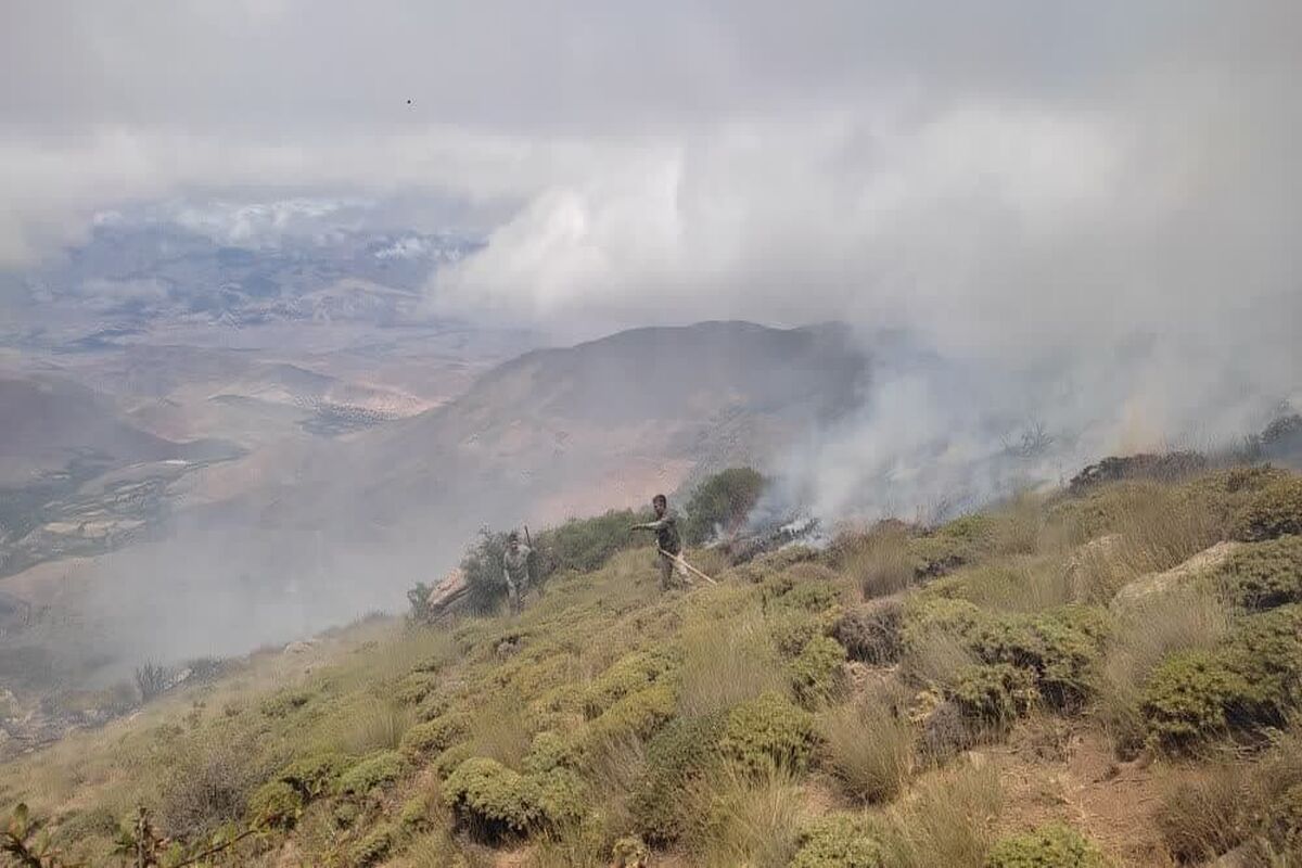 منابع طبیعی