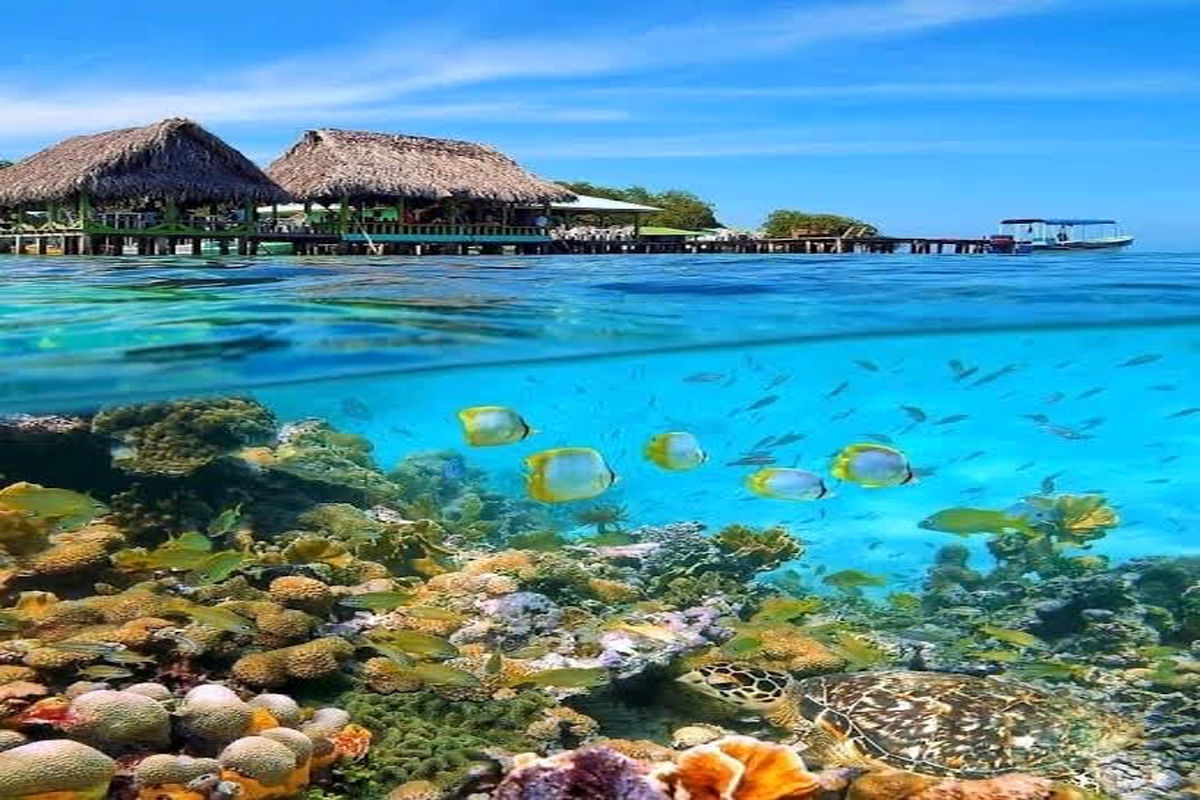 گردشگری قشم و کیش