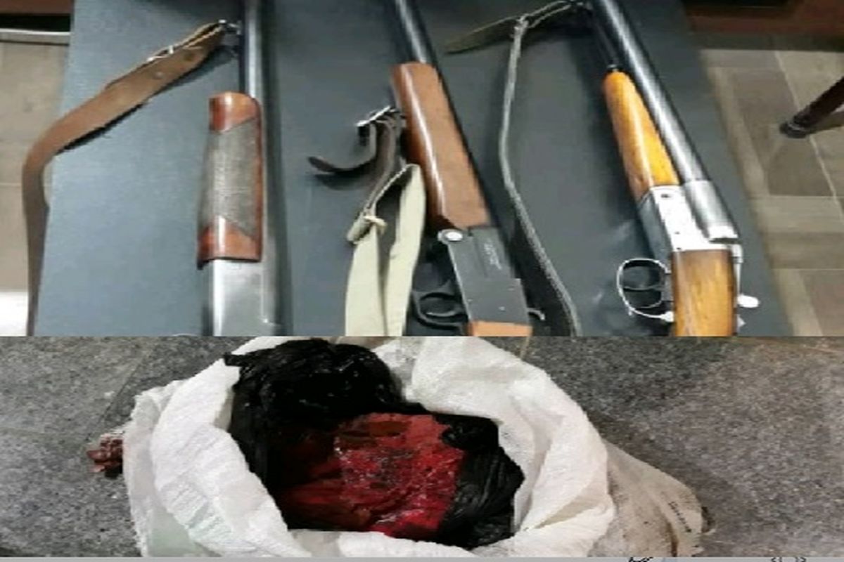 دستگیری  در محیط زیست مازندران