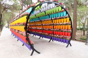 سیما و منظر شهری اولویت شهرداری بندرعباس است