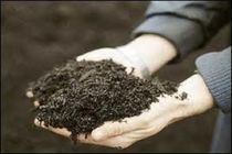 برنامه ای برای افزایش قیمت کود نداریم/بیش از ۳۰۰ هزار تن ذخایر استراتژیک کود